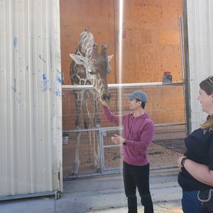 Meet your Posher, Tien